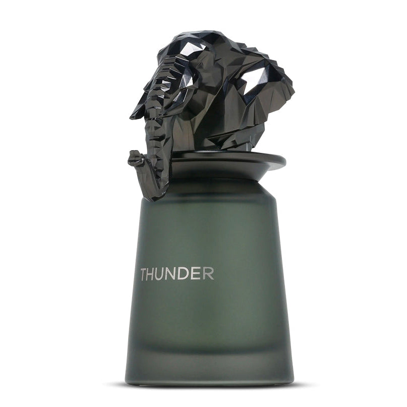 French Avenue Thunder Eau De Parfum 100ml For Men