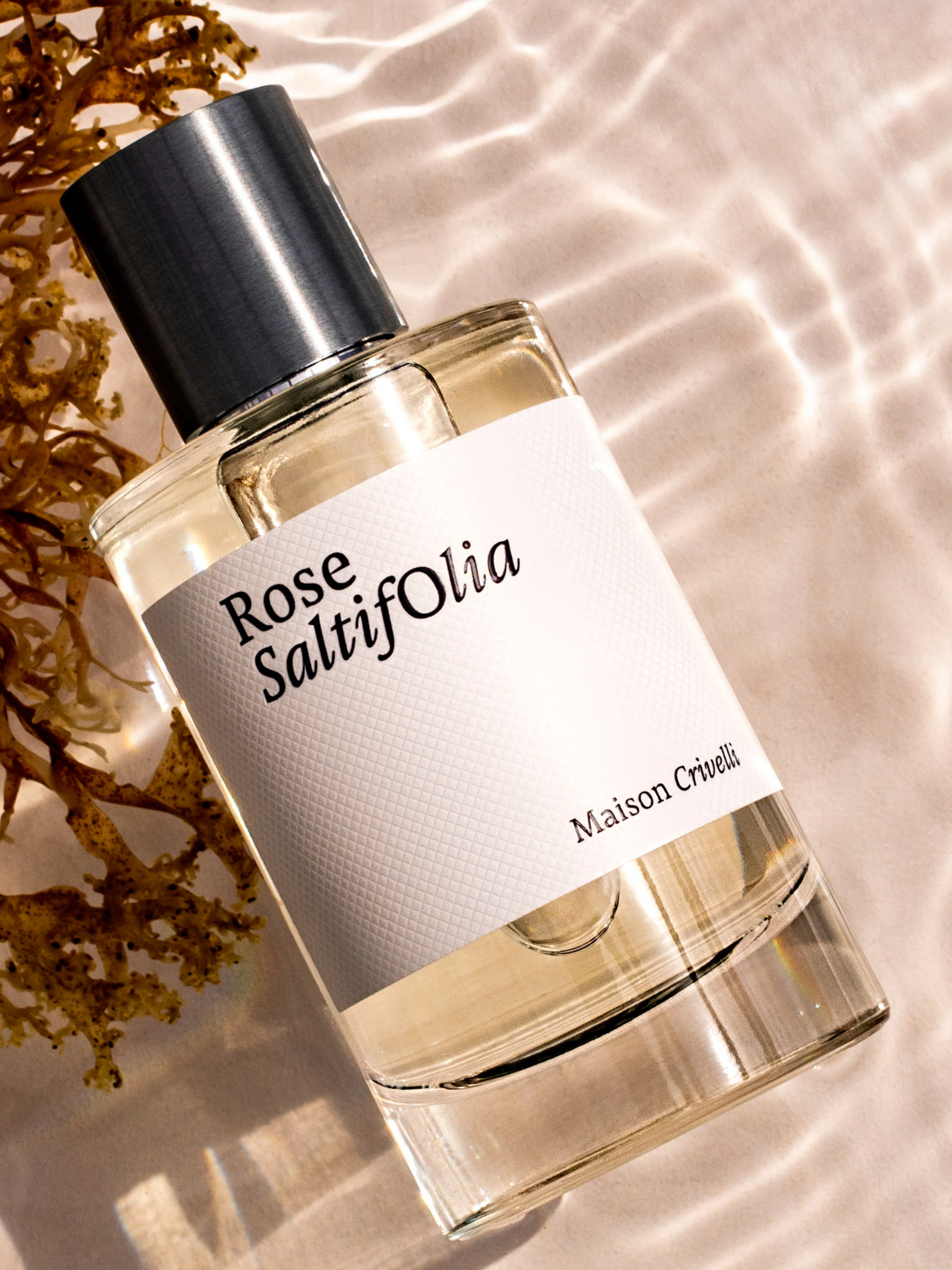Maison Crivelli Rose Saltifolia Eau De Parfum 100ml For Unisex