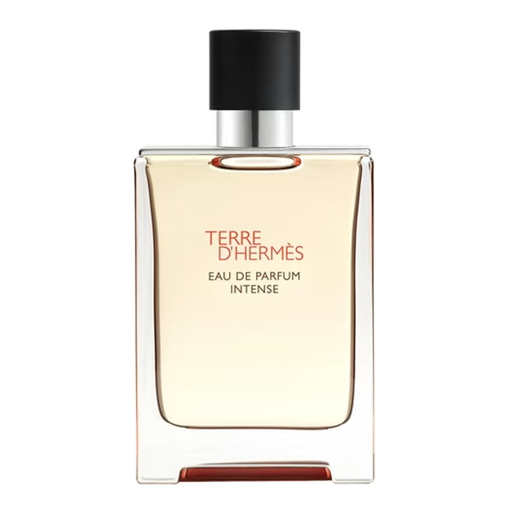 Hermes Terre D'Hermes Eau De Parfum Intense 100ml For Men
