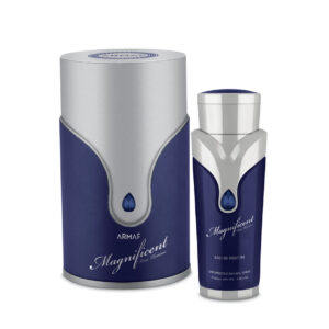 Armaf Magnificent Blu Pour Homme EDP Perfume 100ML