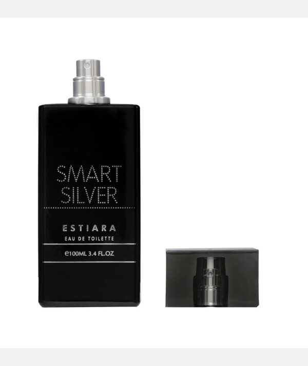 Estiara Smart Silver Eau De Toilette 100ML