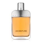 Davidoff Adventure Eau De Toilette 100ml For Men