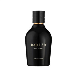 Bad-Lad-Perfume-Eau-de-Parfum-100ml-by-Fragrance-World-Inspired-by-Carolina-Herreras-Bad-Boy_1800x1800.jpg