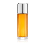 Calvin Klein Escape Eau De Parfum 100ml For Women